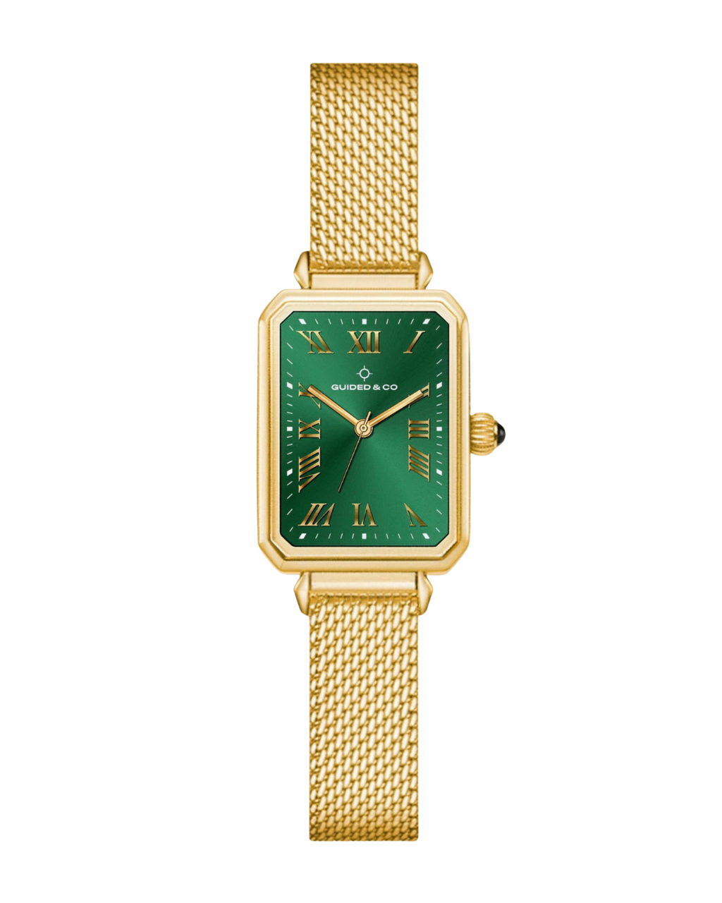 Olivera Watch Collection
