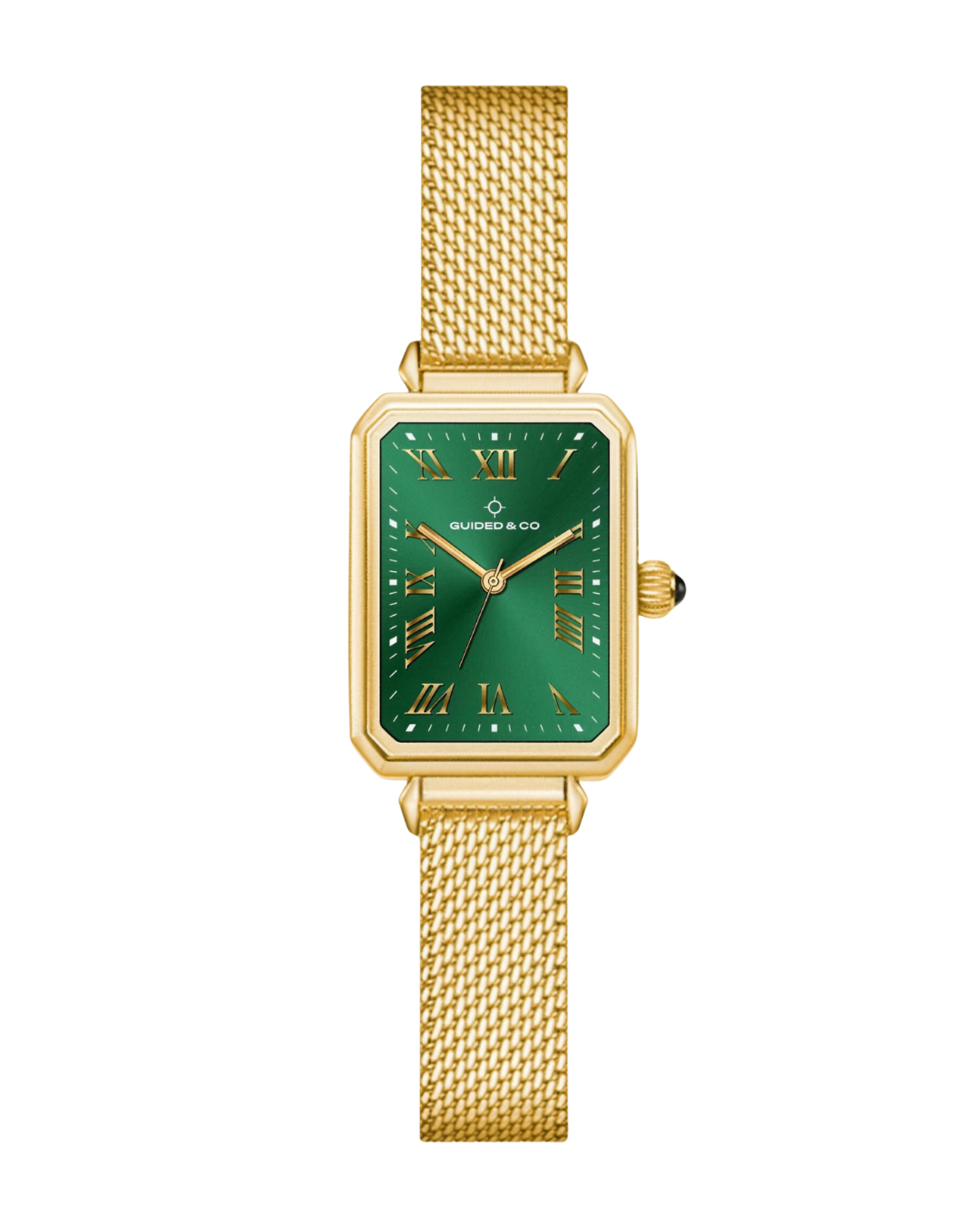 Olivera Watch Collection