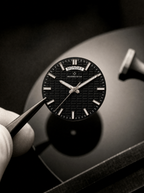 Monarch Watch Collection